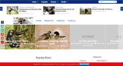 Desktop Screenshot of greatapetrust.org